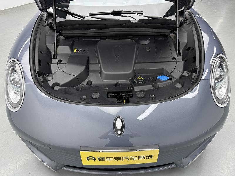 ORA Euler Lightning Cat 2022