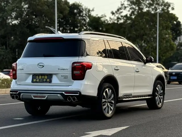 GAC Trumpchi GS8 320T two-wheel drive luxury Zhilian Edition 7 seats