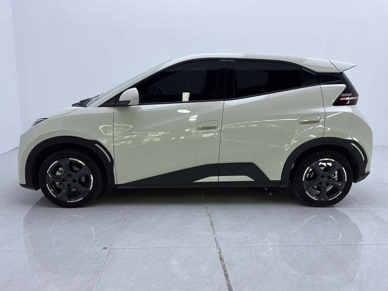 BYD seagull 2024