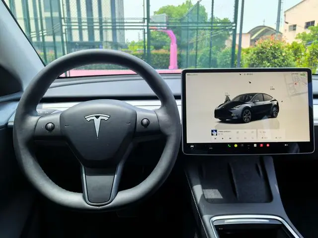 Tesla Model Y Rear-wheel drive version