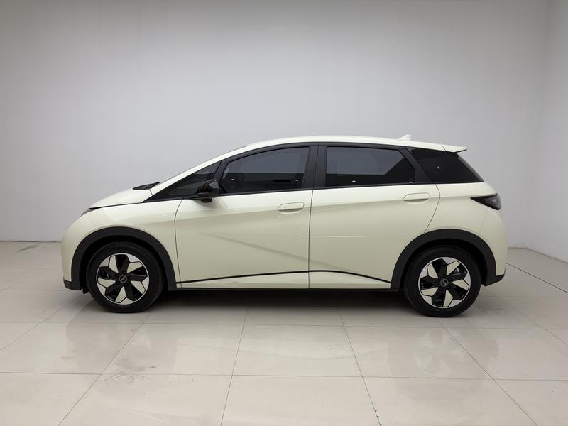 BYD dolphin 2024