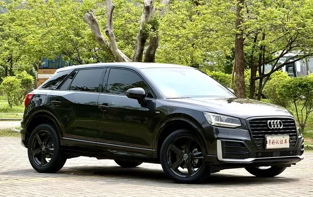Audi Audi Q2L 35TFSI aggressive dynamic type