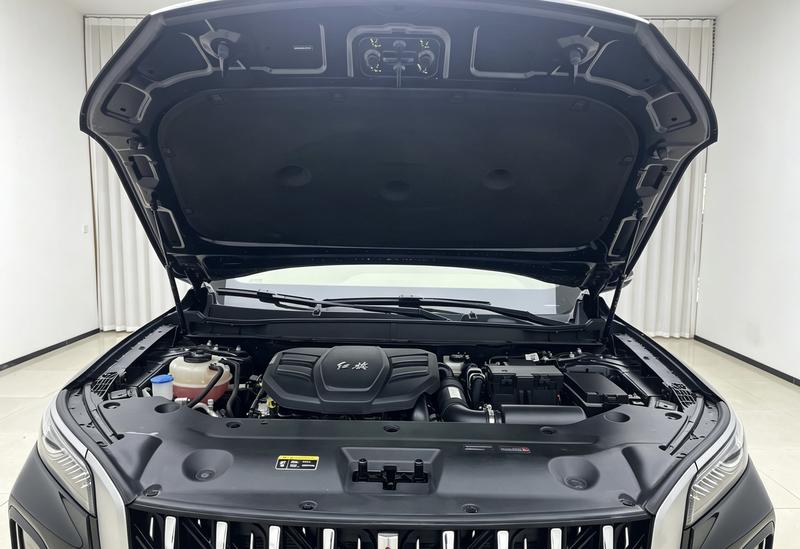 Hongqi Red Flag HS5 2025