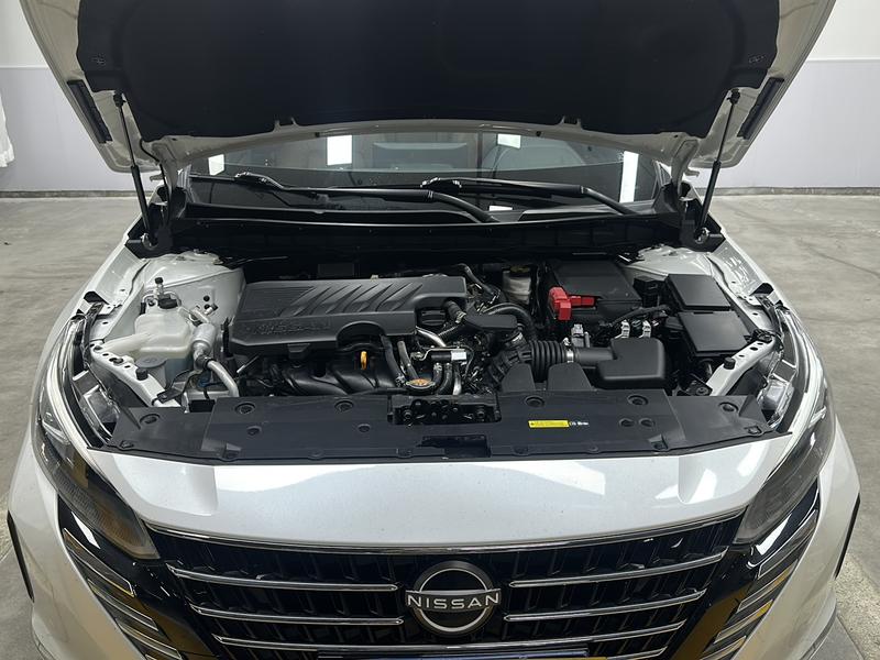 Nissan Sounds of Nature 2022