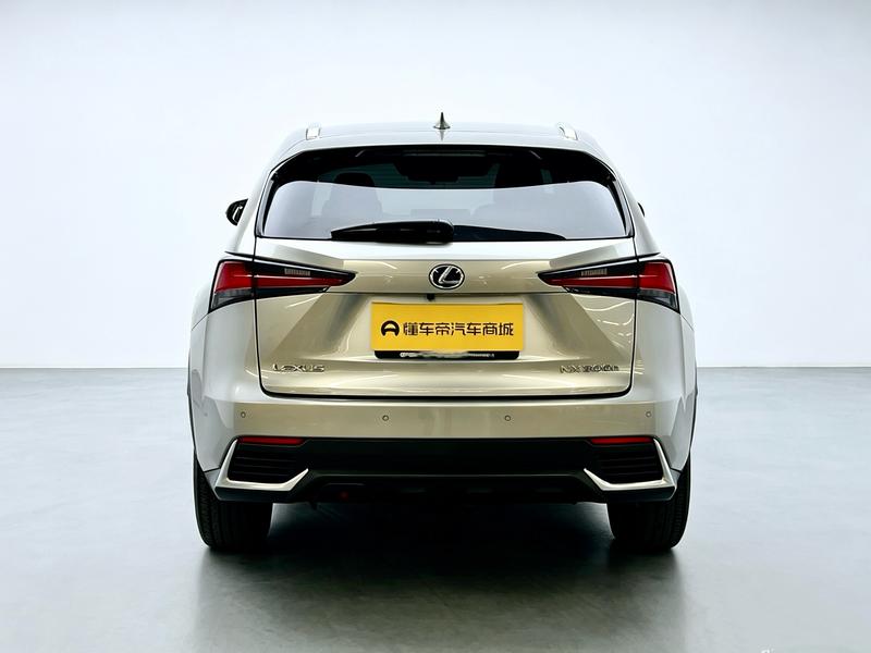 Lexus Lexus NX 2020