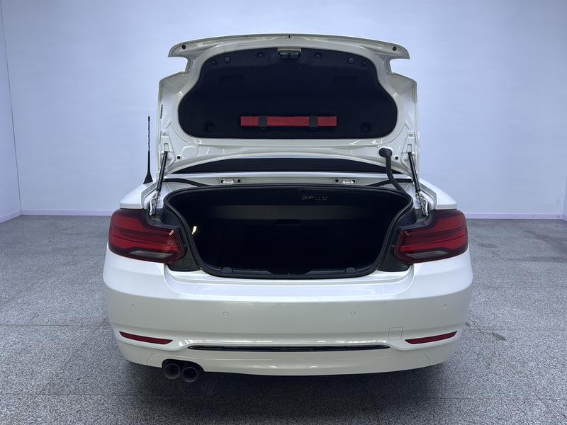 BMW BMW 2 Series (imported) 2019