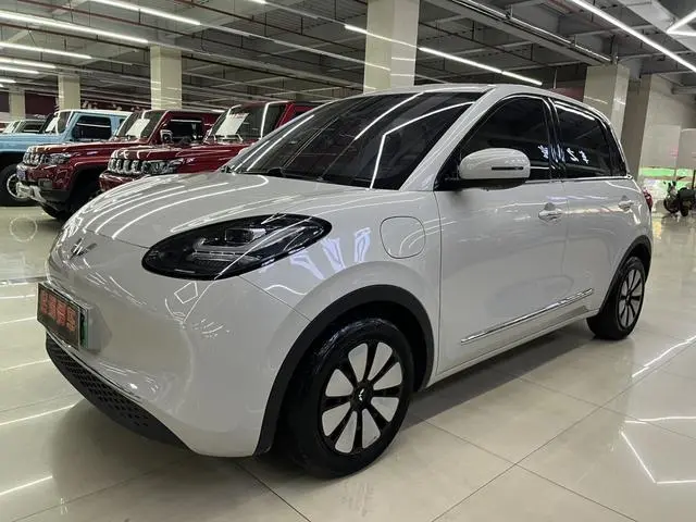 Wuling Wuling Bingguo 333KM Enjoy+