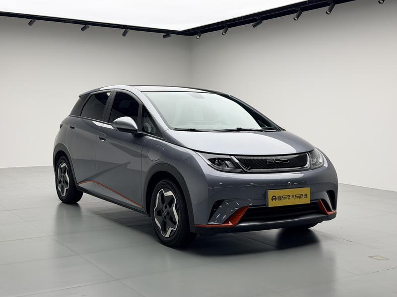 BYD dolphin 2021