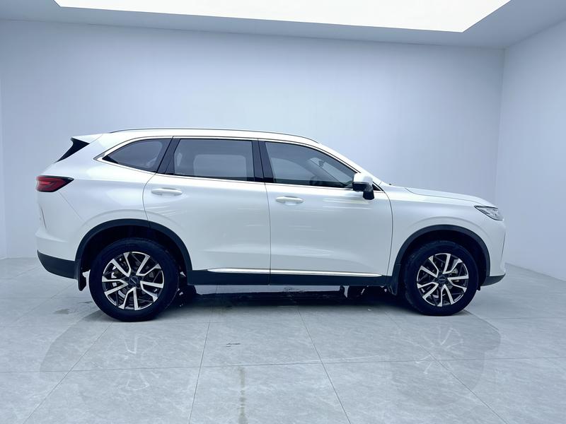 Haval Haval H6 2021
