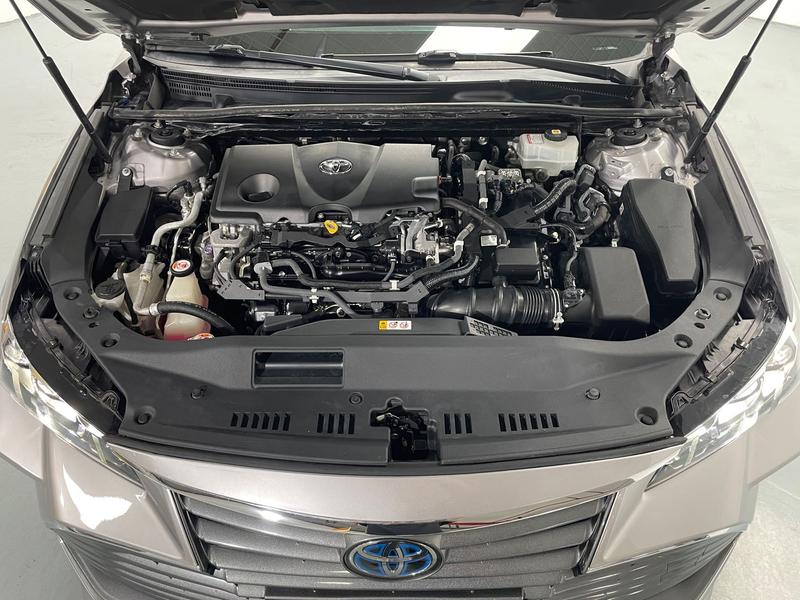 Toyota Asian Dragon 2019