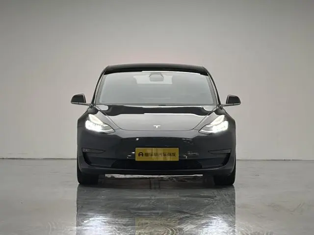 Tesla Model 3 Long battery life, rear-wheel drive version