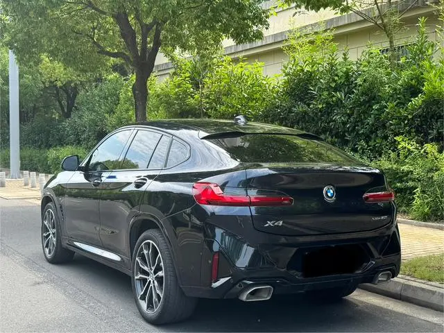 BMW BMW X4 xDrive 30i M sports suit