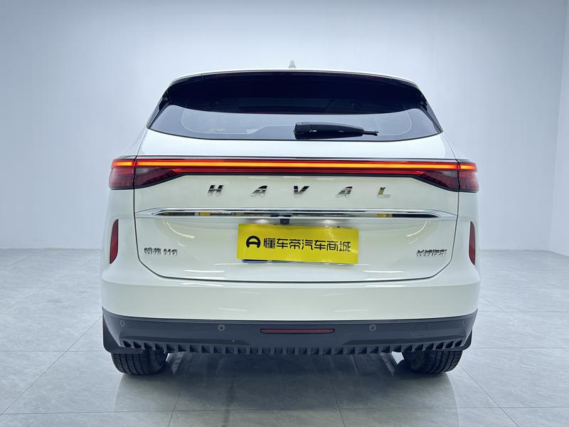Haval Haval H6 2021