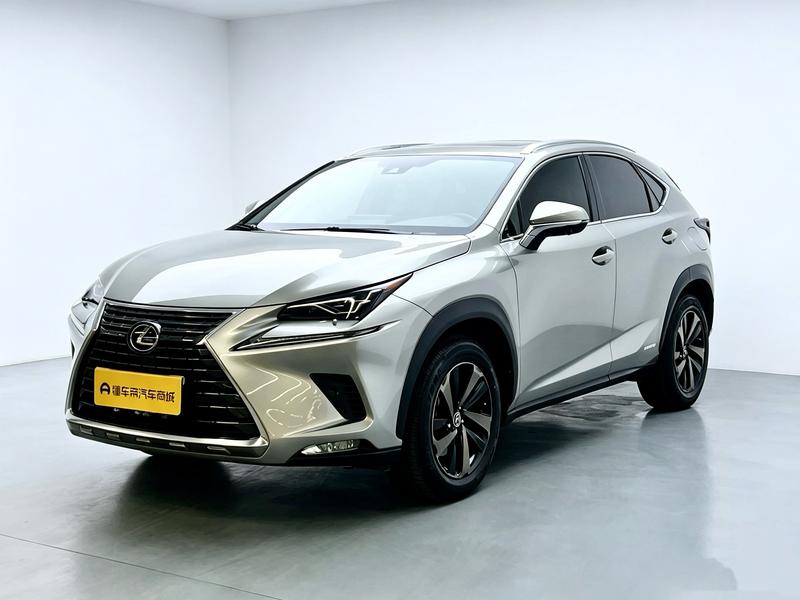 Lexus Lexus NX 2020