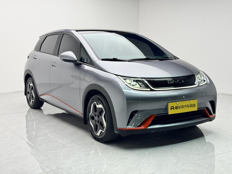 BYD dolphin 2021