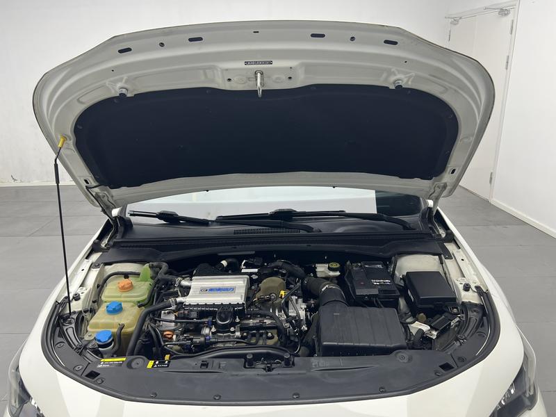 Trumpchi Shadow Leopard 2021