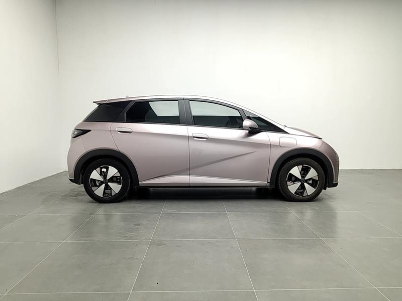 BYD dolphin 2023