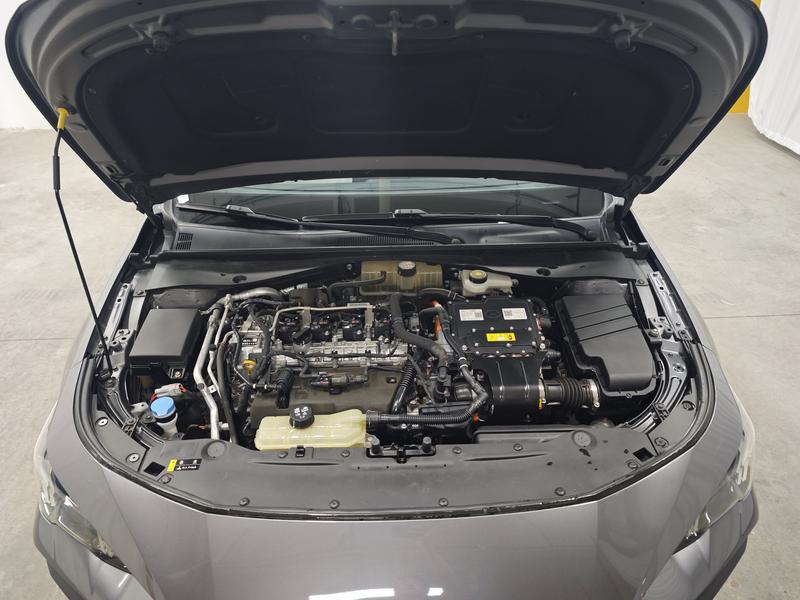 Trumpchi Shadow Leopard 2023