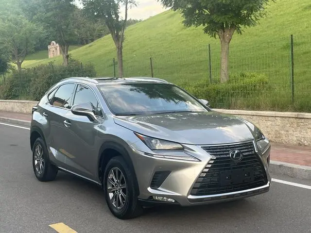 Lexus Lexus NX 200 full drive Fengshang version National V