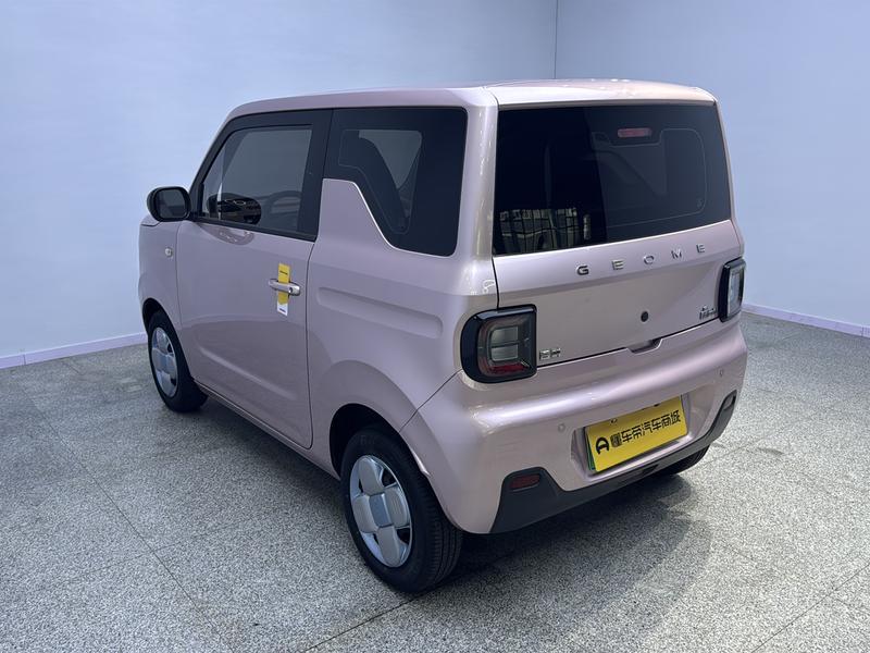 Geely Galaxy panda 2023