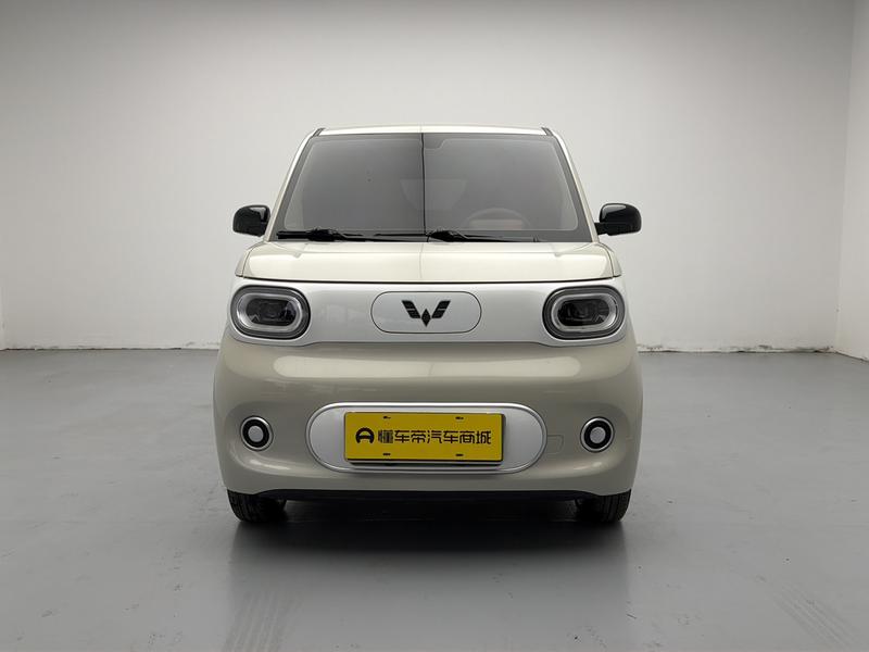 Wuling Wuling Hongguang MINIEV 2024