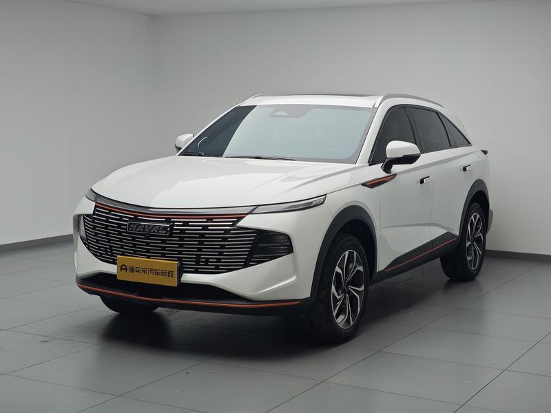 Haval Haval Divine Beast 2021