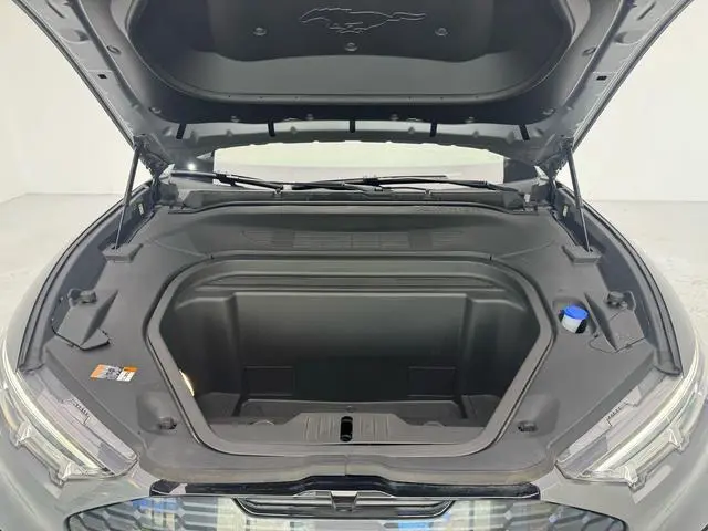 Ford Ford electric Horse Yueshi Rear Drive version (standard battery life)