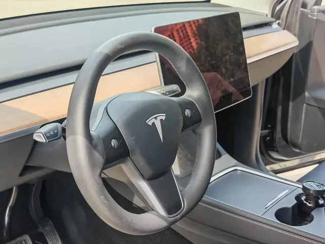 Tesla Model Y Rear-wheel drive version