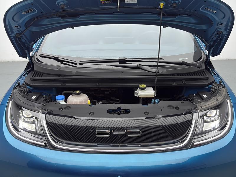 BYD dolphin 2021