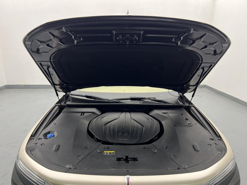 Hongqi Red Flag H9 2020