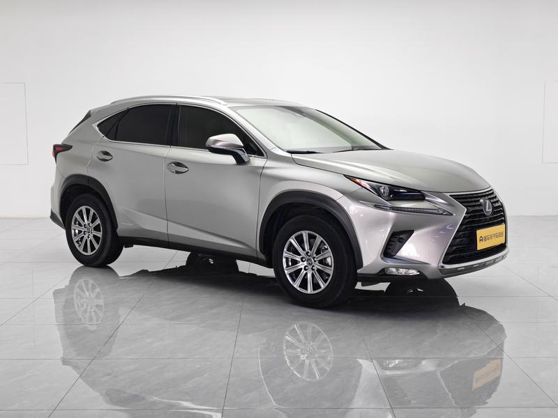 Lexus Lexus NX 2020