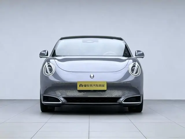 Ora Euler Lightning Cat 600km four-wheel drive high-performance version