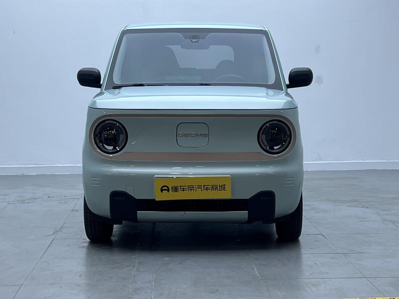 Geely Galaxy panda 2024