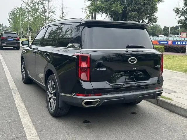 GAC Trumpchi GS8 Pilot Series 2.0 TGDI two-wheel drive Luxury Zhilian Edition 7-seater