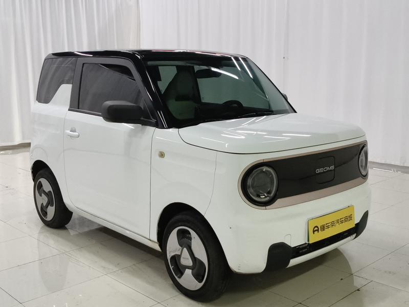 Geely Galaxy panda 2023