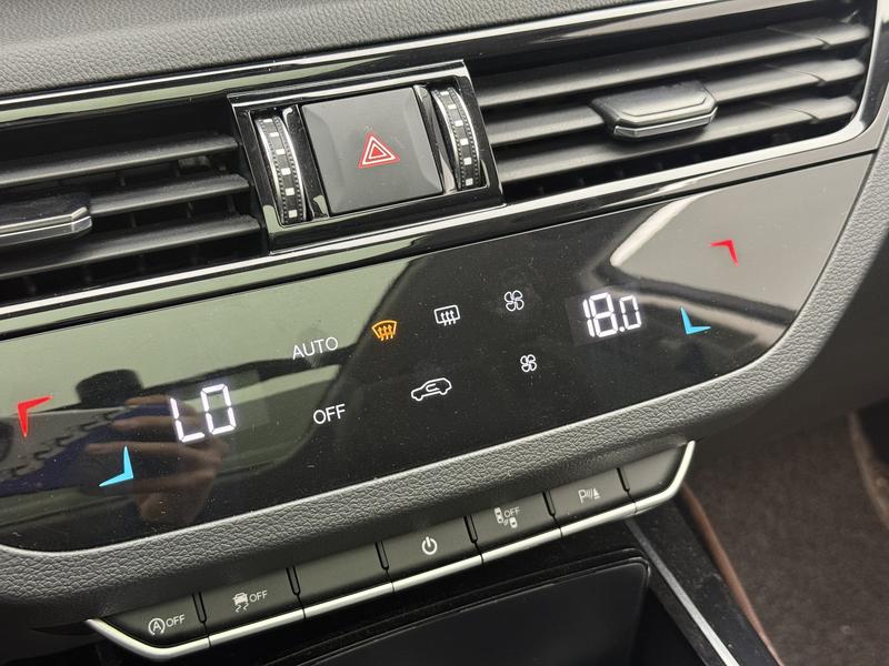 Hongqi Red Flag HS5 2019