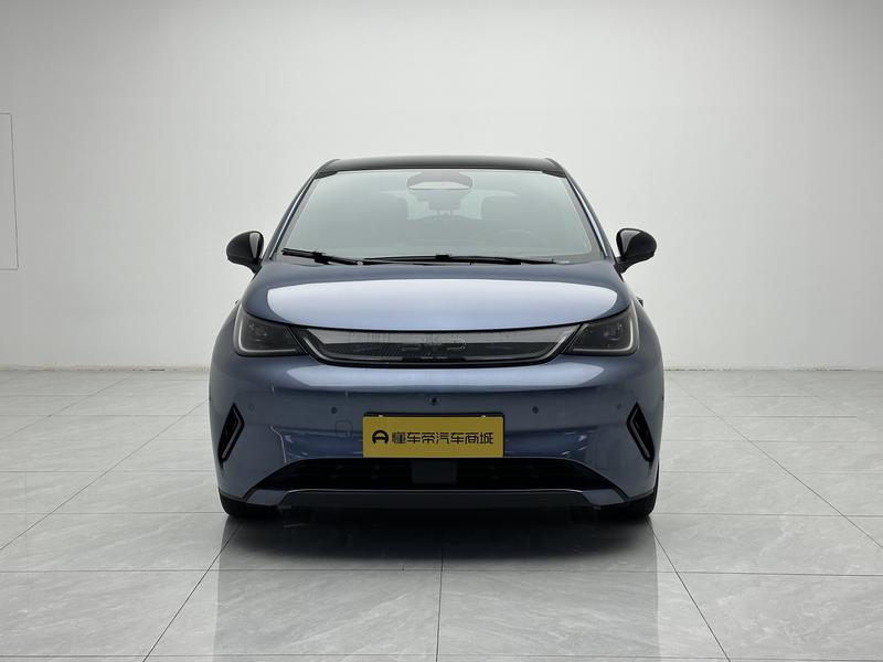 BYD dolphin 2025