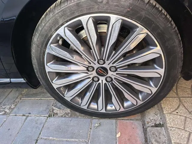 Hongqi Hongqi H9 3.0T Zhilian flag collar four-seater version