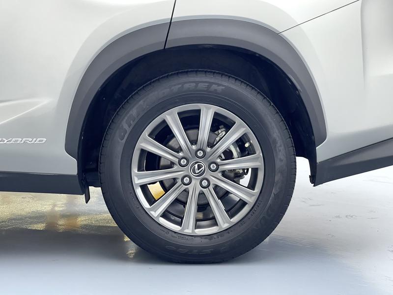 Lexus Lexus NX 2020