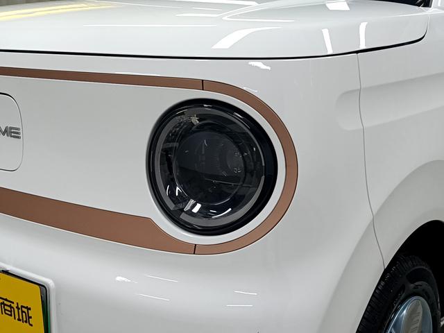 Geely Galaxy panda 2024