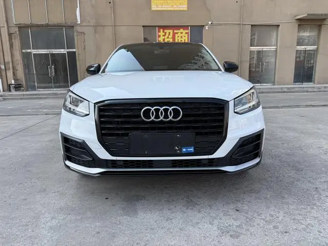 Audi Audi Q2L 35TFSI aggressive dynamic type