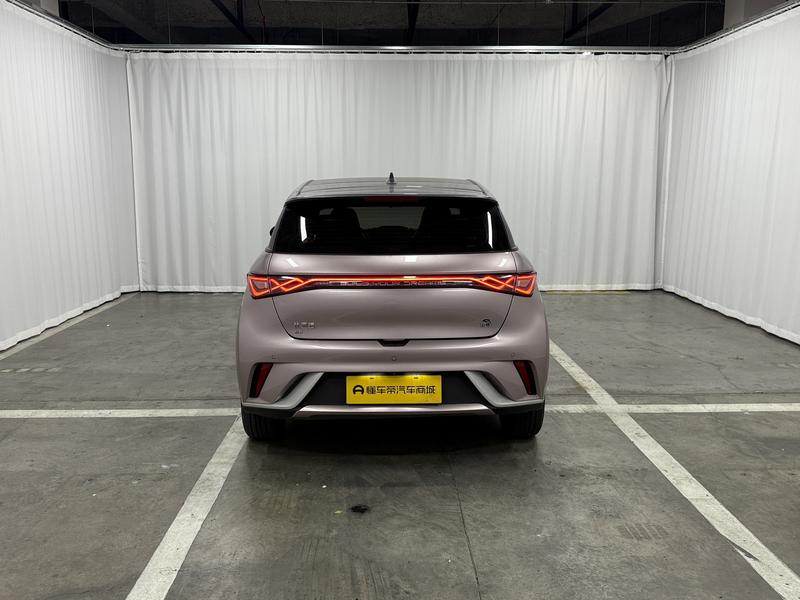 BYD dolphin 2021