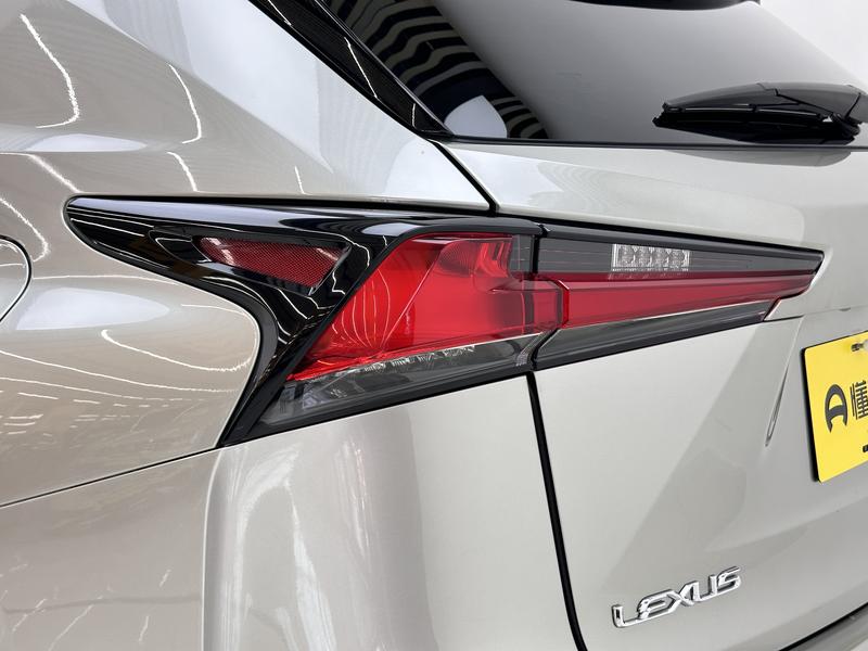 Lexus Lexus NX 2020