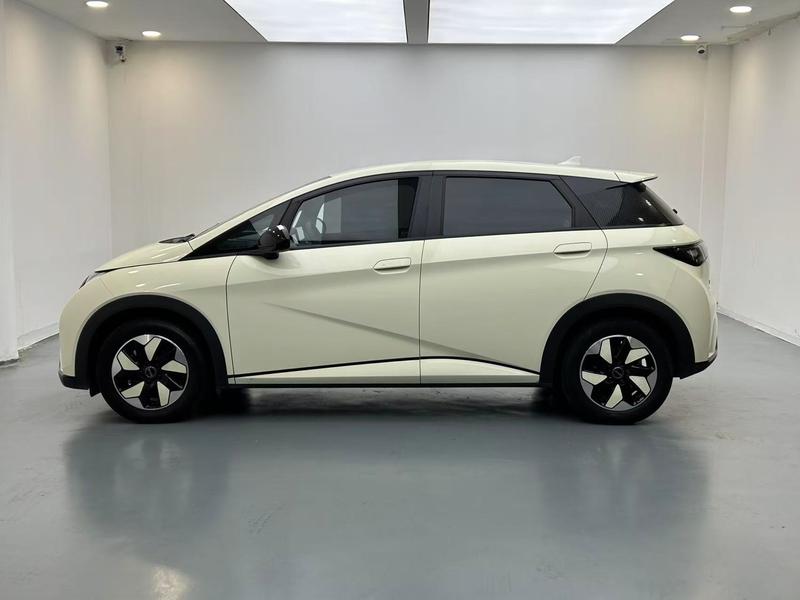 BYD dolphin 2025