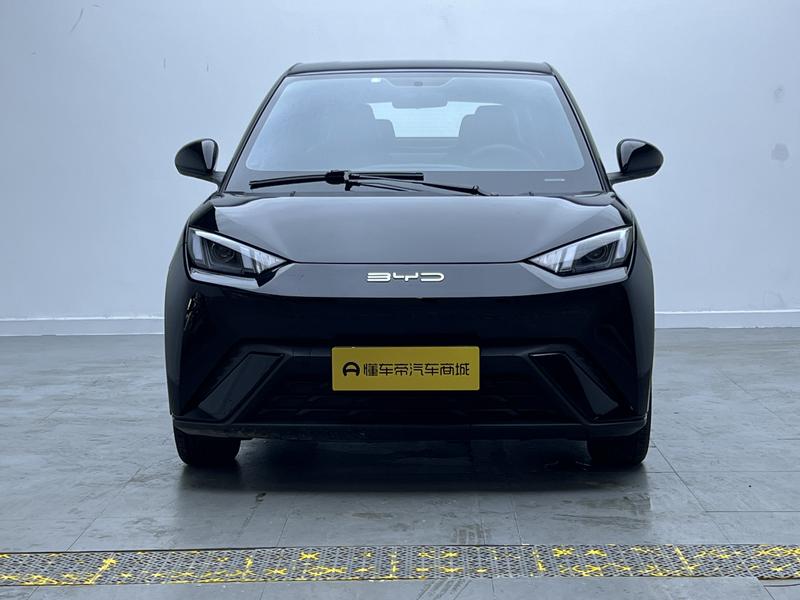 BYD seagull 2024