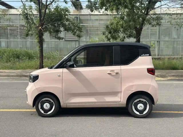 Wuling Wuling Hongguang MINIEV Macaron Premium Lithium Iron Phosphate