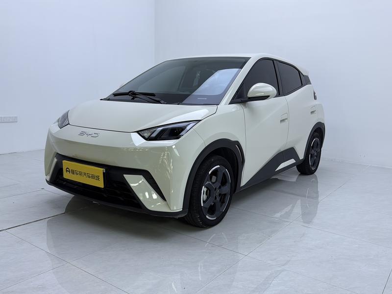 BYD seagull 2024