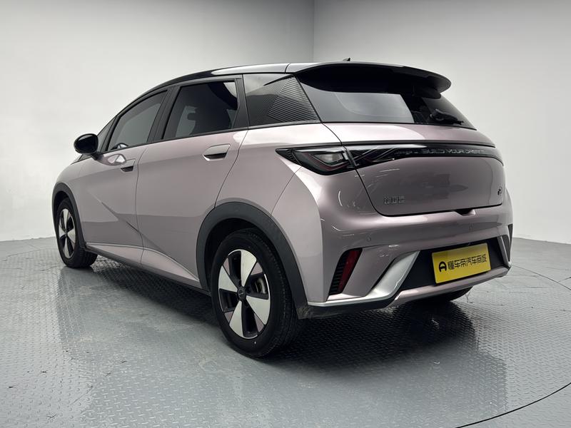 BYD dolphin 2023