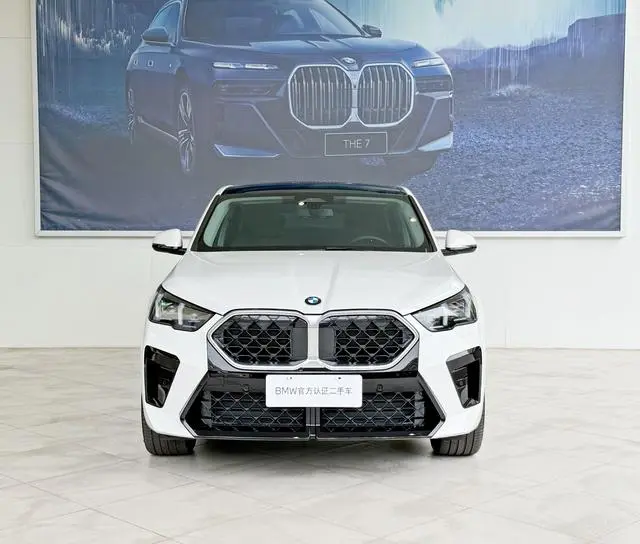 BMW BMW X2 (imported) sDrive25i M sports suit