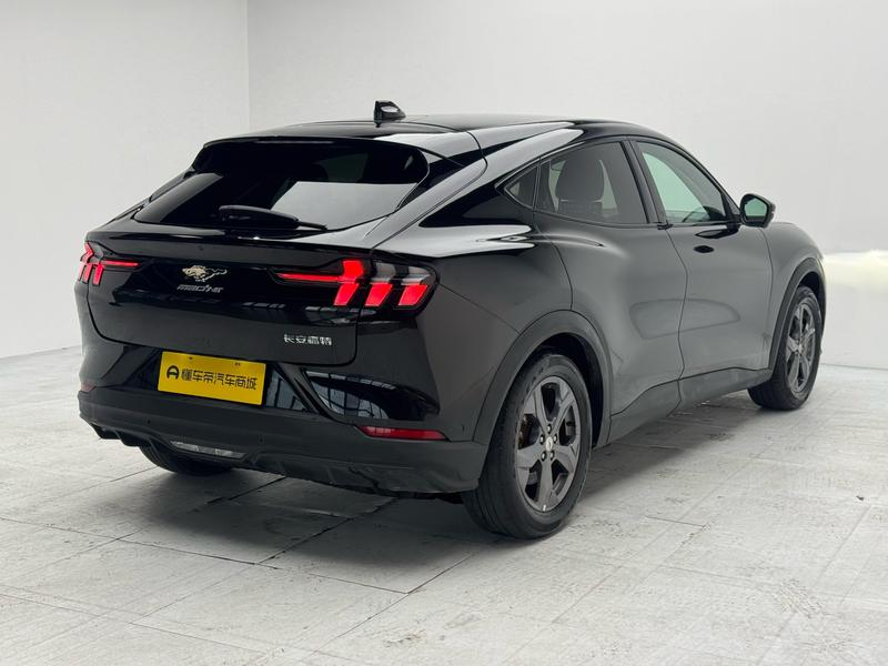 Ford Ford Electric Horse 2021